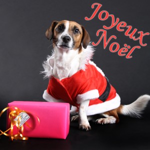 joyeux noël