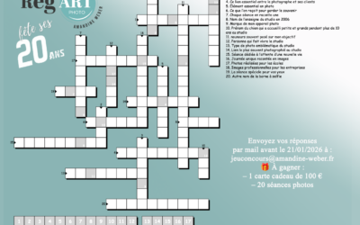 Mot croisé spécial 20 ans du studio